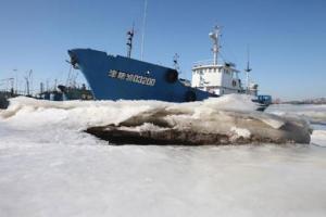 barcos atrapados en el hielo