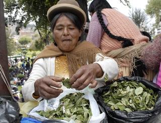 Una vendedora de coca y su acullico