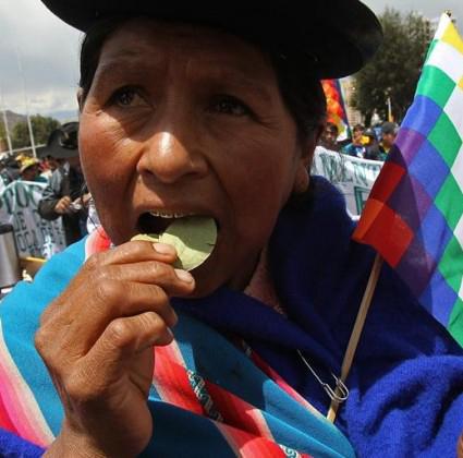 La legalización del masticado de la hoja de coca