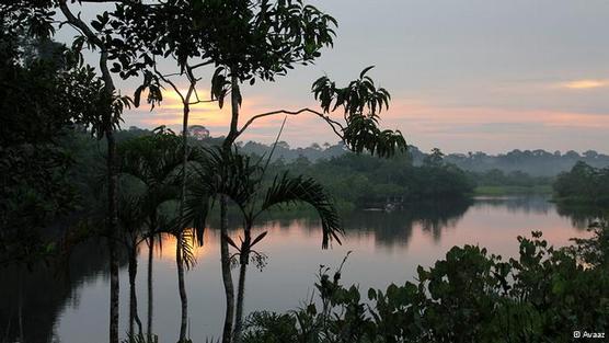 La amazonia ecuatoriana 