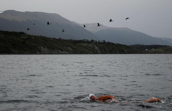 El tucumano Matías Ola nadando en el Canal de Beagle