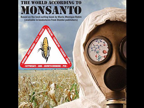 Monsanto y la impunidad 