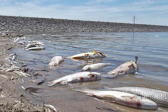 Juez santiagueño indagará a empresarios tucumanos por contaminación