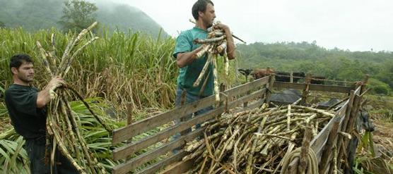 Cristina entregará fondos a pequeños productores tucumanos