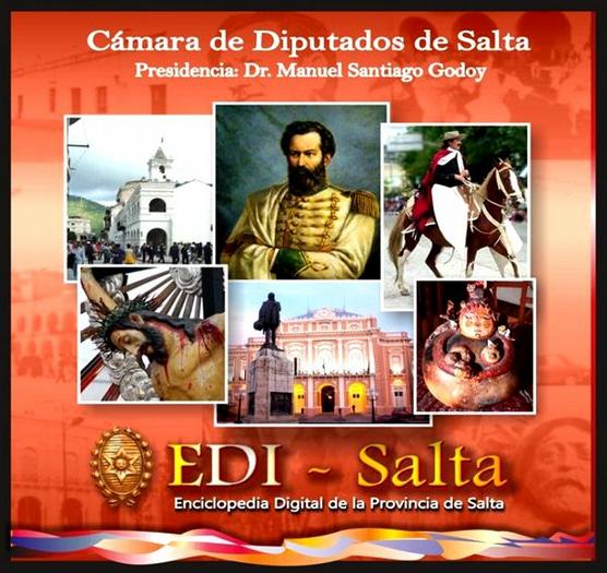 EDI Salta 2013