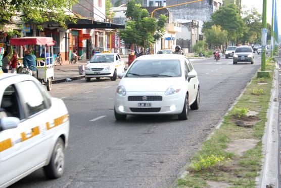 Nuevos árboles en platabanda