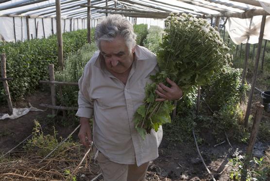 Mujica y las flores de su chacra