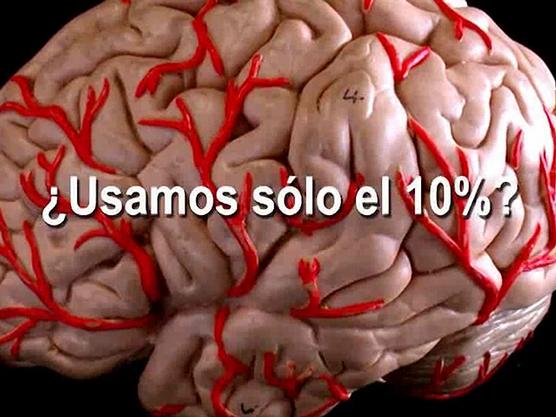 ¿Realmente sólo usamos el 10% de nuestro cerebro?