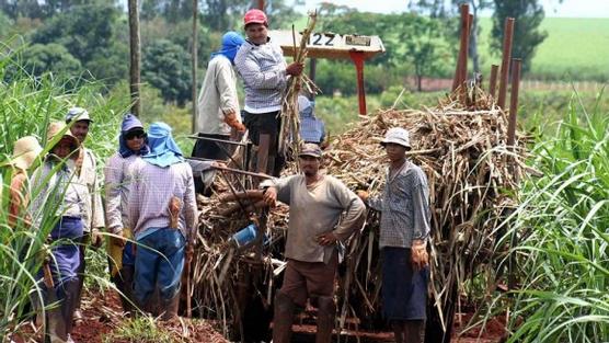 Trabajadores paralizan la industria azucarera en Tucumán y en Salta