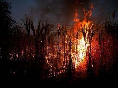 Alarmante incremento de focos de fuego en Tucumán