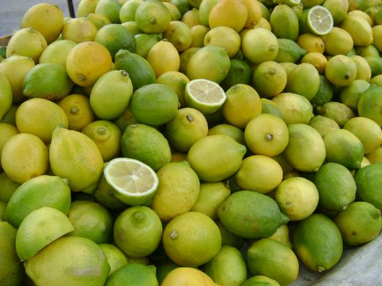 Senasa decomisó más de 12 mil kilos de citrus en Tucumán