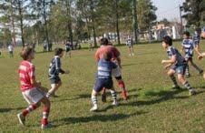 Rugby infantil