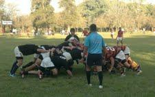 Rugby regional