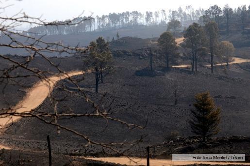 Logran controlar el 70% de los incendios en los campos de Córdoba