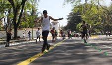 Pista para skate, patín