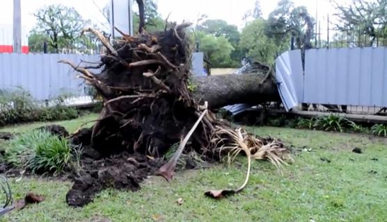 Tormentas causaron destrozos en Yerba Buena