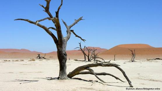 El desierto avanza mundialmente