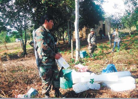 La droga secuestrada ayer