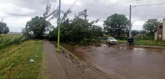 La tormenta derribó árboles y cables