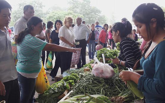 Compras en el Mercofrut