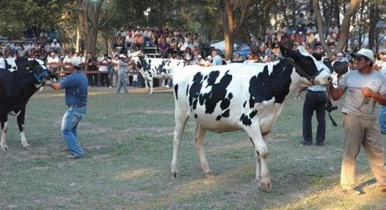 Expo lactea en Trancas