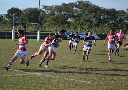 Rugby de primera división