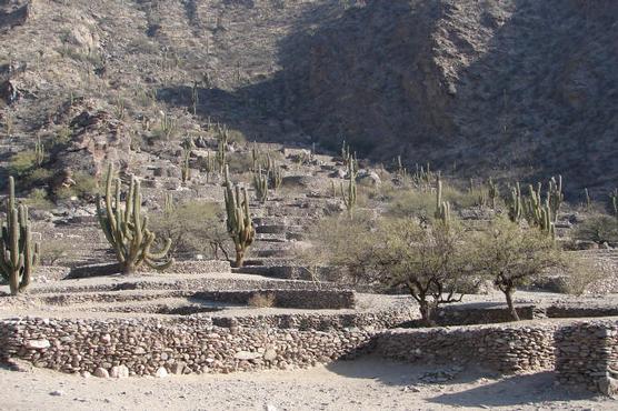 Camino del Inca