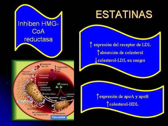 Gráfico explicativo sobre la acción de las estatinas