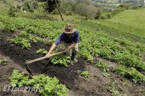 La agricultura familliar como base