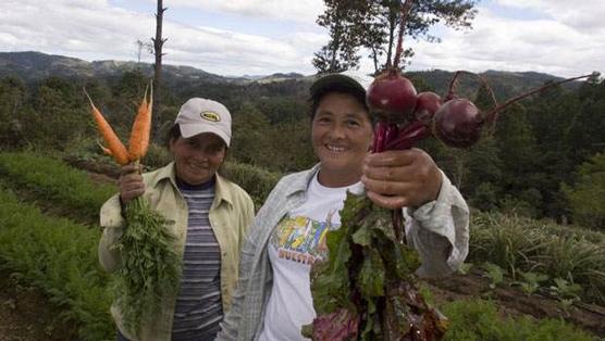 Mujeres rurales son la clave