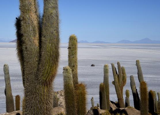 Dakar en Bolivia