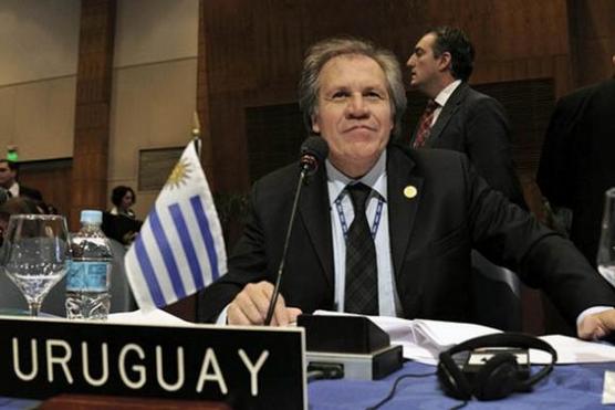 Luis Almagro candidato a reemplazar a Insulza