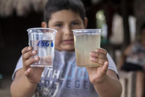 Purificador de agua