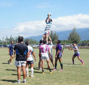 Entrenamiento