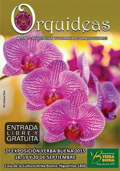 Orquídea