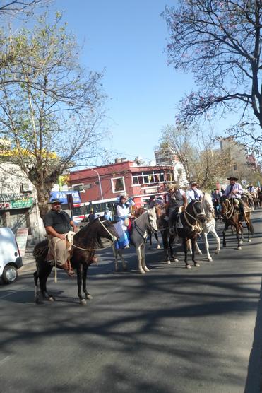 Gauchos