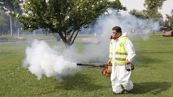 Se fumiga todo el tiempo en todo lugar