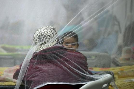 Un niño sobre una cama cubierta con un mosquitero, en la maternidad de Tegucigalpa