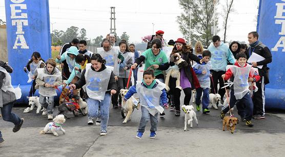 Tucumán Mascotas