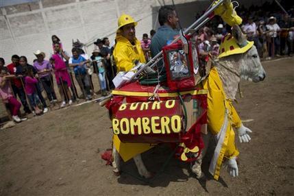 Burro bombero se pasea junto a sus colegas