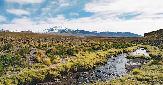 El Manantial Silala en territorio boliviano 