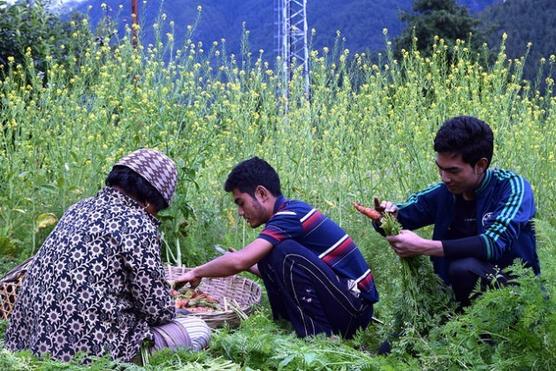 Tsering Dorji trabaja en su granja en el pueblo de Satsam, en Bután