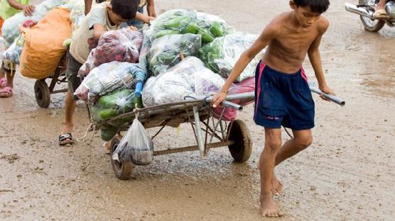 La explotación infantil en un sistema perverso