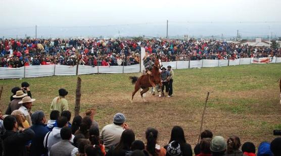 Doma y folclore