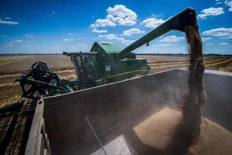 La agricultura chilena en alza, el sector de la economía con mayores crecimientos, según el Gobierno.