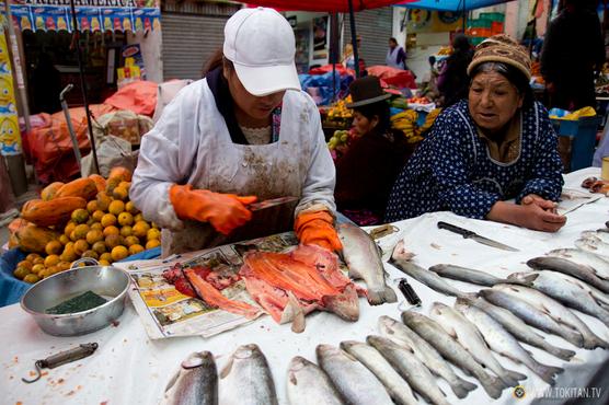 Las mujeres bolivianas a la cabeza de las tareas