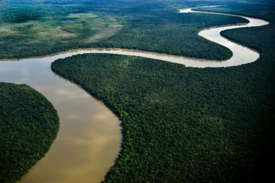 Vista aérea de la Reserva Nacional Natural Puinawai 