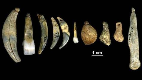 Joyas de los hombres de Neanderthal (foto: Ansa)