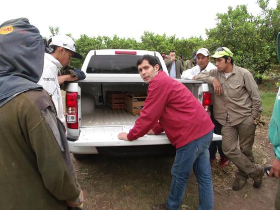 La inspección del organismo