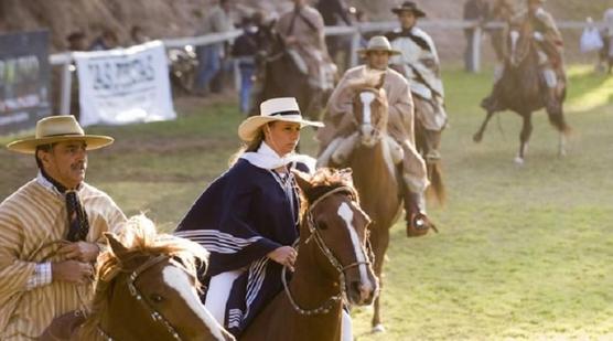 Caballo criollo